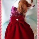 Dog Dress Chris..