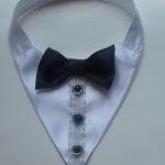 Tuxedo Dog Wedding Collar ..