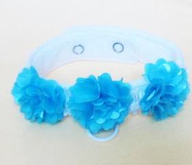 Dog Wedding Flower Collar in Pink Plum or Turquoise Dog Collars Dog Clothes