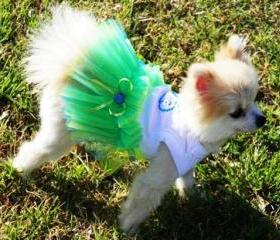 Blue and Green Dog TuTu Seaside Wedding Dog Clothes Whale Miascloset