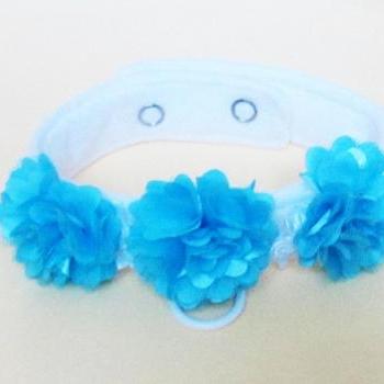 Dog Wedding Flower Collar in Pink Plum or Turquoise Dog Collars Dog Clothes
